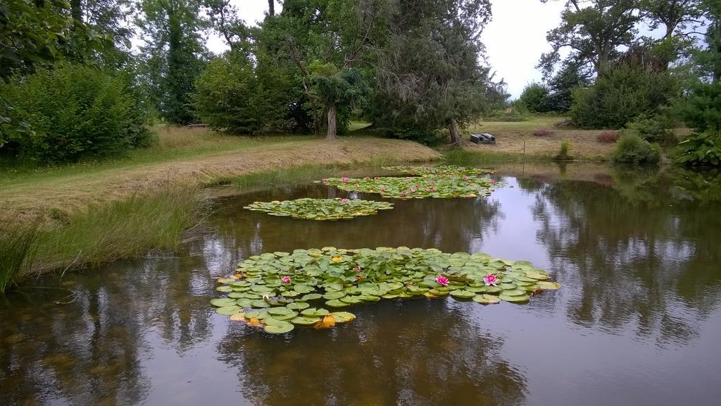 Castel La Bergerie Panzió Laglorieuse Kültér fotó